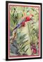 Jungle Parrot-Felicity House-Framed Giclee Print