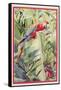 Jungle Parrot-Felicity House-Framed Stretched Canvas