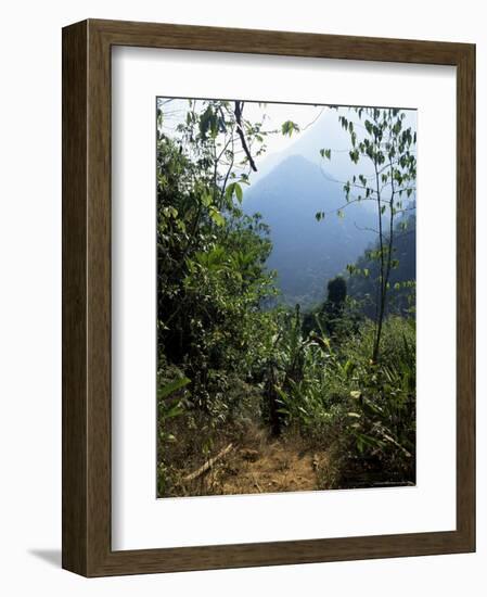 Jungle, Sierra Nevada, Colombia, South America-Jane O'callaghan-Framed Photographic Print