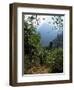 Jungle, Sierra Nevada, Colombia, South America-Jane O'callaghan-Framed Photographic Print