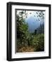 Jungle, Sierra Nevada, Colombia, South America-Jane O'callaghan-Framed Photographic Print