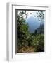 Jungle, Sierra Nevada, Colombia, South America-Jane O'callaghan-Framed Photographic Print