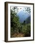 Jungle, Sierra Nevada, Colombia, South America-Jane O'callaghan-Framed Photographic Print