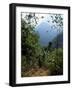 Jungle, Sierra Nevada, Colombia, South America-Jane O'callaghan-Framed Photographic Print