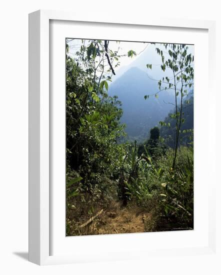 Jungle, Sierra Nevada, Colombia, South America-Jane O'callaghan-Framed Photographic Print