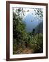 Jungle, Sierra Nevada, Colombia, South America-Jane O'callaghan-Framed Photographic Print