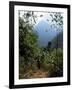 Jungle, Sierra Nevada, Colombia, South America-Jane O'callaghan-Framed Photographic Print