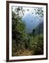 Jungle, Sierra Nevada, Colombia, South America-Jane O'callaghan-Framed Photographic Print