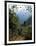 Jungle, Sierra Nevada, Colombia, South America-Jane O'callaghan-Framed Photographic Print