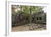 Jungle Surrounded Ruins at Ta Prohm Temple (Rajavihara)-Michael Nolan-Framed Photographic Print