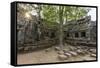 Jungle Surrounded Ruins at Ta Prohm Temple (Rajavihara)-Michael Nolan-Framed Stretched Canvas