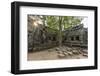 Jungle Surrounded Ruins at Ta Prohm Temple (Rajavihara)-Michael Nolan-Framed Photographic Print