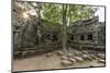 Jungle Surrounded Ruins at Ta Prohm Temple (Rajavihara)-Michael Nolan-Mounted Photographic Print