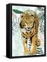 Jungle Tiger I-Elizabeth Medley-Framed Stretched Canvas