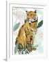 Jungle Tiger II-Elizabeth Medley-Framed Art Print