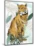 Jungle Tiger II-Elizabeth Medley-Mounted Art Print