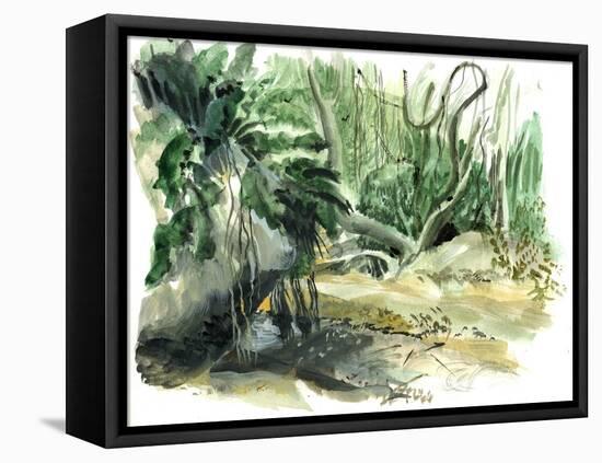 Jungle: Tyrona, Colombia-Mary Kuper-Framed Stretched Canvas