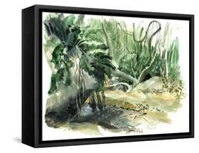 Jungle: Tyrona, Colombia-Mary Kuper-Framed Stretched Canvas