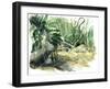 Jungle: Tyrona, Colombia-Mary Kuper-Framed Giclee Print