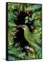 Jungle with Green Toucan-Andrea Haase-Framed Stretched Canvas