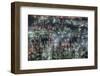 jungle-Tomoshi Hara-Framed Photographic Print