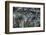 jungle-Tomoshi Hara-Framed Photographic Print