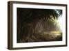 Jungle-Stephane Belin-Framed Art Print