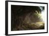 Jungle-Stephane Belin-Framed Art Print