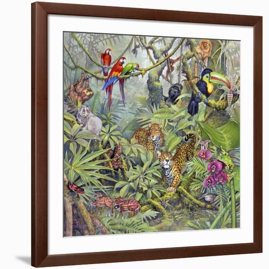 Jungle-Tim Knepp-Framed Giclee Print