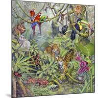 Jungle-Tim Knepp-Mounted Giclee Print