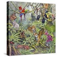 Jungle-Tim Knepp-Stretched Canvas