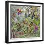 Jungle-Tim Knepp-Framed Giclee Print