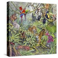 Jungle-Tim Knepp-Stretched Canvas