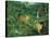 Jungle-Betty Lou-Stretched Canvas