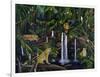 Jungle-Betty Lou-Framed Giclee Print