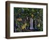 Jungle-Betty Lou-Framed Premium Giclee Print