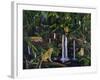 Jungle-Betty Lou-Framed Giclee Print