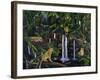 Jungle-Betty Lou-Framed Giclee Print