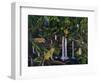 Jungle-Betty Lou-Framed Giclee Print