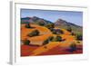 Juniper Hills-Mary Silverwood-Framed Art Print