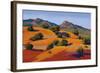 Juniper Hills-Mary Silverwood-Framed Art Print