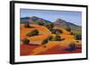 Juniper Hills-Mary Silverwood-Framed Art Print