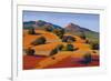 Juniper Hills-Mary Silverwood-Framed Art Print