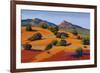 Juniper Hills-Mary Silverwood-Framed Art Print