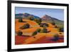 Juniper Hills-Mary Silverwood-Framed Art Print