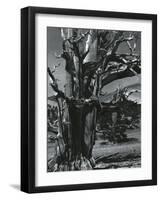 Juniper Tree, c. 1970-Brett Weston-Framed Photographic Print