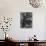 Juniper Tree, c. 1970-Brett Weston-Photographic Print displayed on a wall