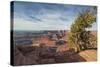 Juniper Tree, Dead Horse Point State Park-Howie Garber-Stretched Canvas