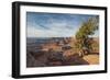 Juniper Tree, Dead Horse Point State Park-Howie Garber-Framed Photographic Print