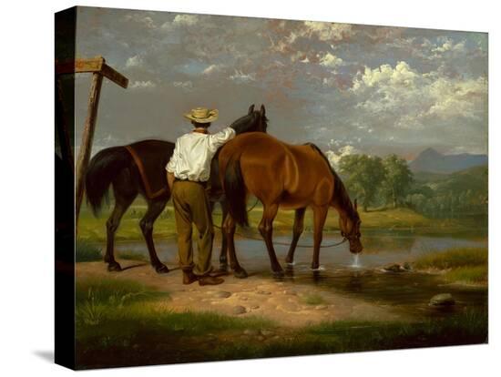 Stretched Canvas Print, , large